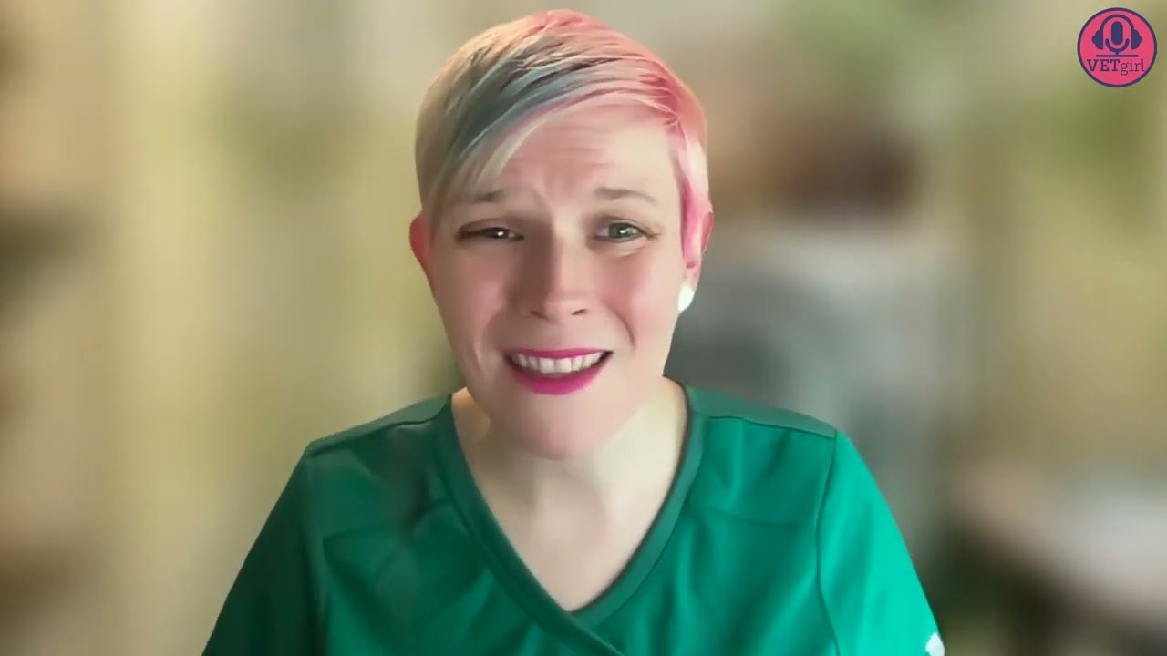 Introduction to Considerate Approach in Dogs and Cats for Veterinary Professionals