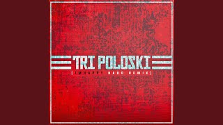 Cover art for Tri Poloski