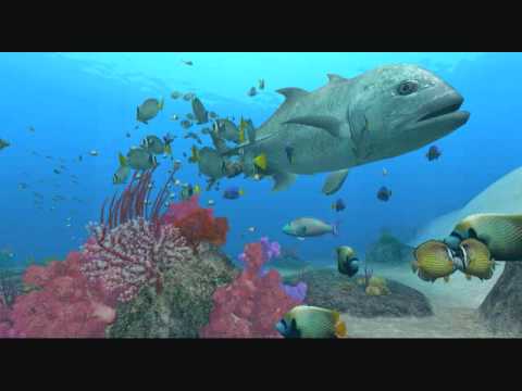 Klagmar's Top VGM #445-Endless Ocean: Blue World-Dúlamán (Cortica River)