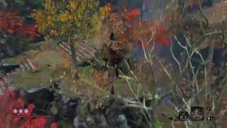 初心者せきろう8日目【SEKIRO】
