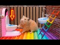 Hamster Pop It Maze Escape 🐹🌈