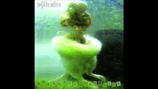 The White Mice - BLasssTPhlEgMEICE (full album)