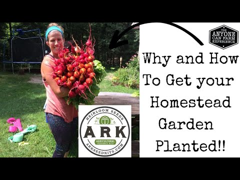 ARK Heirloom Seeds Live