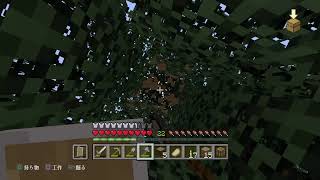 [MINECRAFT配信］素材集め、雑務、雑談クラフト。　初見様andコメント大募集［概要欄必読］