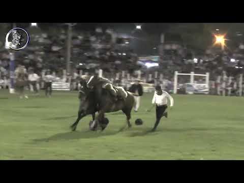 30th Horse Festival in Urdinarrain: Horseback riding with a rider on a horse (Entre Rios)