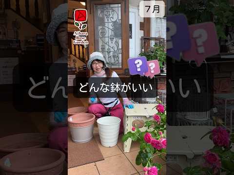 バラの茂みに何を植えるべきか、コンパニオン錬金術を一緒にしない植物はどれですか