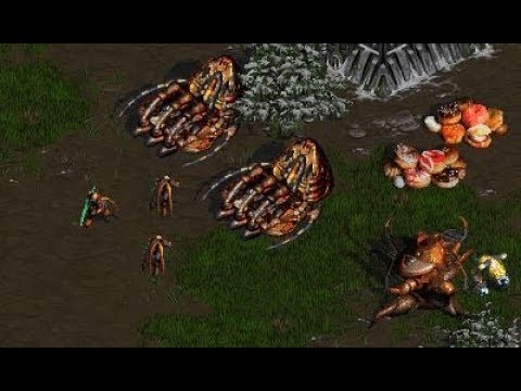 30 Jan 20 Modstream - Todborne mod