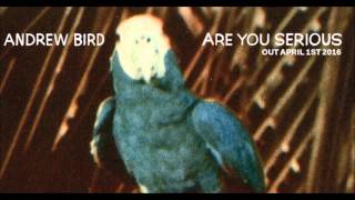 Andrew Bird - The New Saint Jude