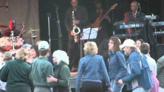 Big James & The Chicago Playboys - CrossRoads