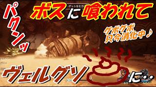 【Clair Obscur: Expedition 33】ヴェルソがボスに貪り喰われてヴェルグソとなって排泄された!!【ＣＯＥ３３】【エキスパート】＃26