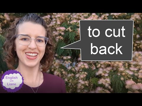 Phrasal Verb - to cut back