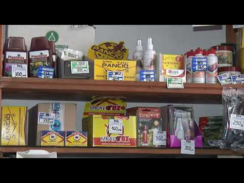 Saveti agronoma kako sacuvati proizvodnju