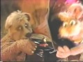 Muppet Sing Alongs Billy Bunny S Animal Songs In Low Pitch