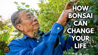6 Lesser-Known Benefits of Having Bonsai as a Hobby