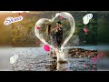 V Dil Sunta Hain What S App Ringtone V