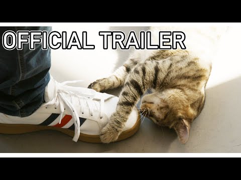 video-thumbnail