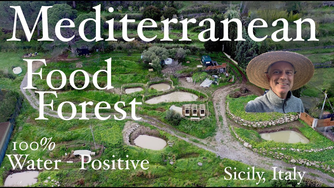 Mediterranean Permaculture Food Forest - John Kaisner The Natural Farmer