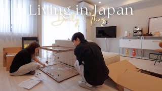 日本生活vlog｜成為爸媽的第一天🐕、久違的台場還是很多人、＠cosme購物品、池袋牛肉麵店❤️、穿搭日常｜水瓶小姐