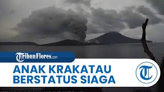 Gunung Anak Krakatau Berstatus Siaga, Warga Dilarang Beraktivitas Radius 5 Km dari Kawah Aktif