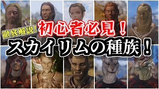 【SKYRIM 解説】初心者必見！スカイリムの種族！