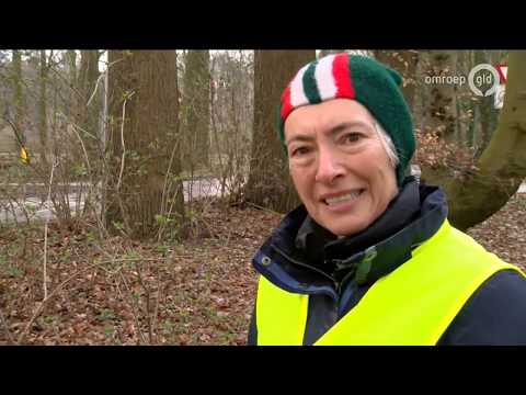 GLD Nieuws 5 maart 2019 - Dinsdag 5 maart