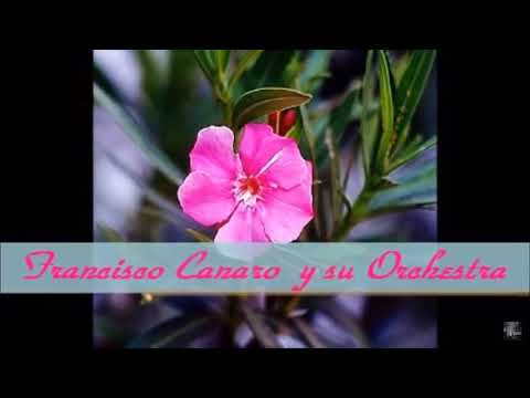 CUARTITO AZUL - FRANCISCO CANARO (TANGO 1939) LETRA