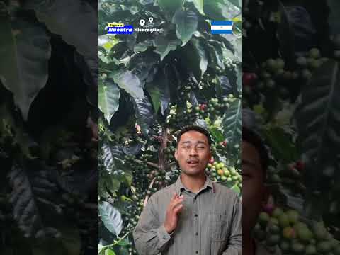 El Crucero es el Municipio más joven de Nicaragua