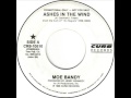 Moe Bandy "Ashes In The Wind"