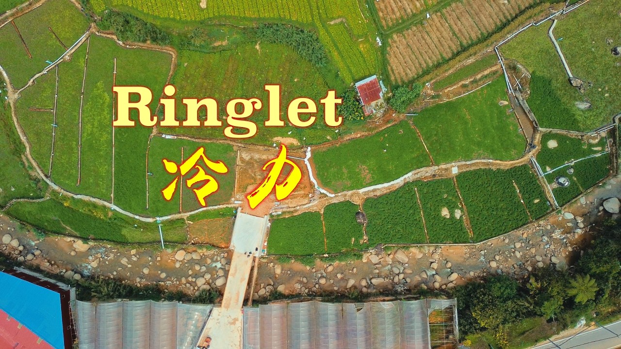金馬崙第一站 Cameron Highlands First Stop // 冷力 Ringlet