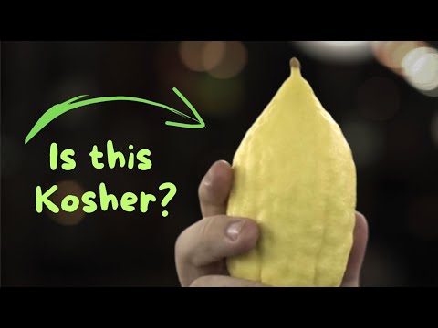 The Search For The Perfect Etrog | mini doc
