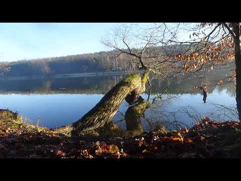 Fájdalom a prosztatitis vizelésénél