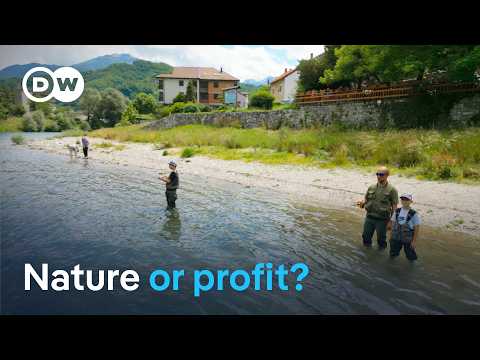 The Neretva In Bosnia -A Wild River On The Brink Of Collapse | Dw Documentary