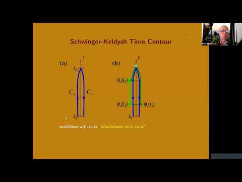 Petr Horava: Large N Expansion and String Theory Out of Equilibrium