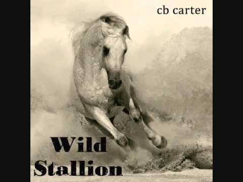 Wild Stallion (full version)