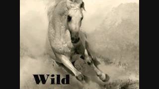 Wild Stallion (full version)