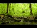 Relaxing Nature Sounds 3 - 60 minutes of.
