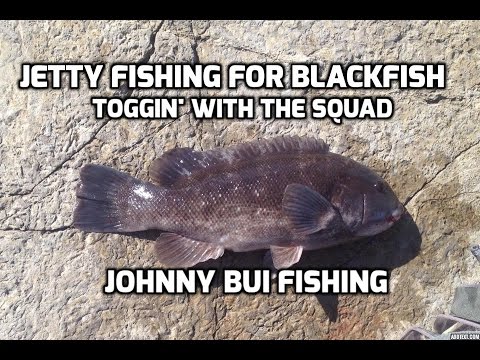 Jetty Fishing For Blackfish - Tog, NJ, Early October