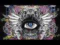 Bassnectar Immigraniada HD