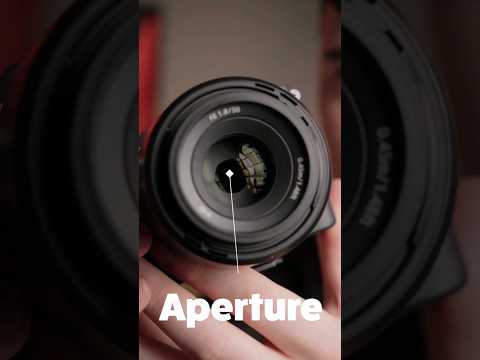 Camera Basics: Aperture Explained!
