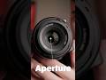 Camera Basics: Aperture Explained! - Arran Brown Camera Basics: Aperture Explained!