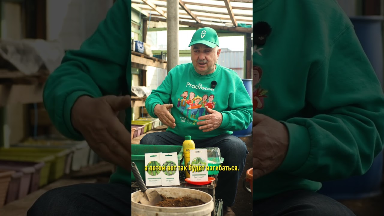 Прочный и долговечный материал для грядок! Что выбирает опытный агроном?