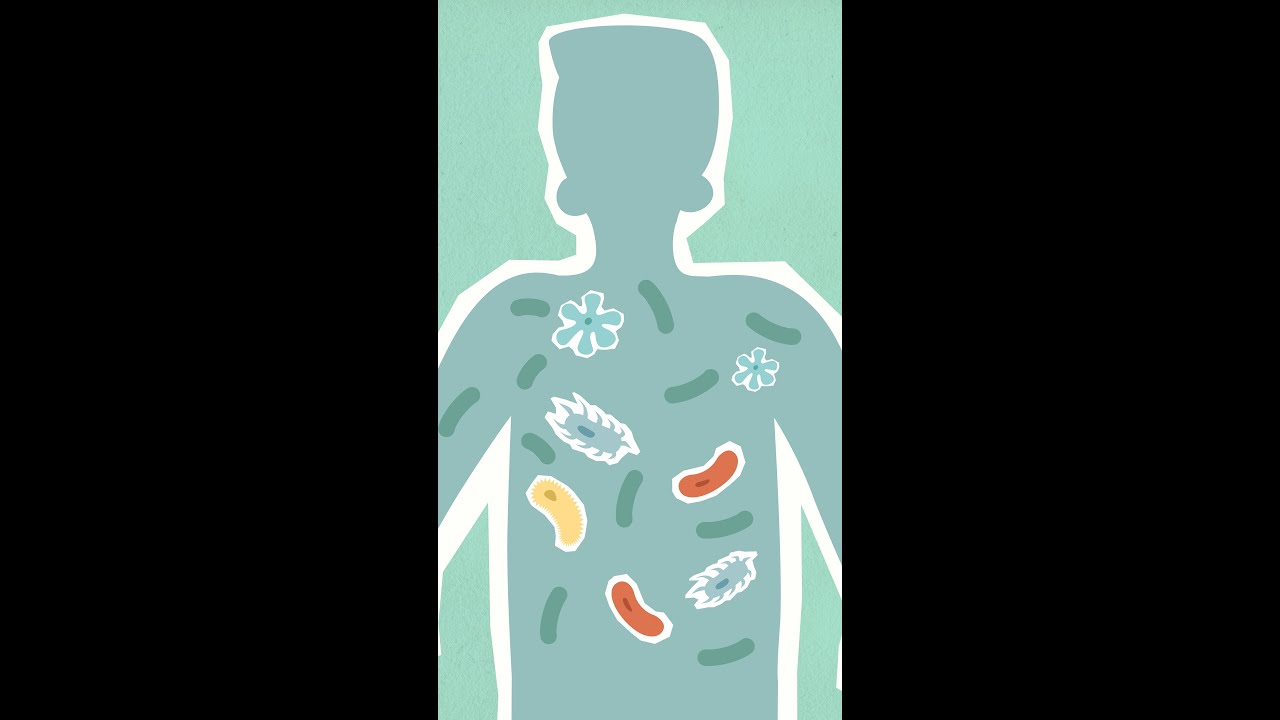 Maryam Mohebbi Probiotics پروبیوتیک مریم محبی