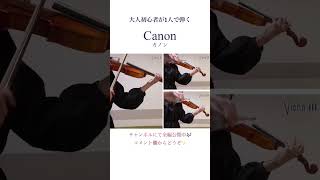 Download lagu 大人初心者が1人で弾く【カノン】パッヘルベル mp3
