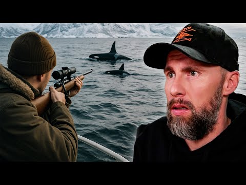 GRAUSAME JAGD auf ORCAS durch INDIGENE VÖLKER | Robert Marc Lehmann reagiert