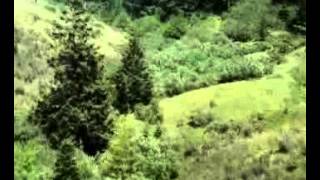 Cast your fate to the wind. Vince Guaraldi