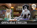 Cats & Dogs: Slaan de Pootjes Ineen! | Officiële Trailer | 9 december losgelaten in de bioscoop