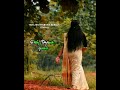 Rettaikili Suthi Vantha Thoppukule Tamil Whatsapp Status Song