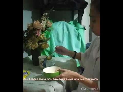 How to make emetic solution at home