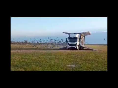 7-10-2023 : Suelta del CIP desde Torrent, Corrientes