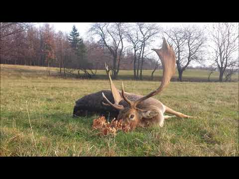 14 Daniel na pokocie